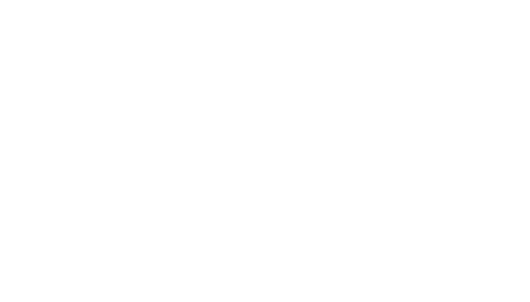 ADF International white logo