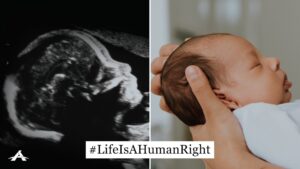 STATEMENT: EU Parliamentarians pressure European countries to introduce abortion with no limits, through all nine months of pregnancy