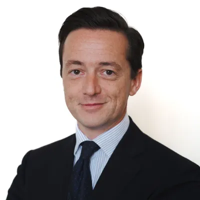 Heinrich Schmid-Schmidsfelden