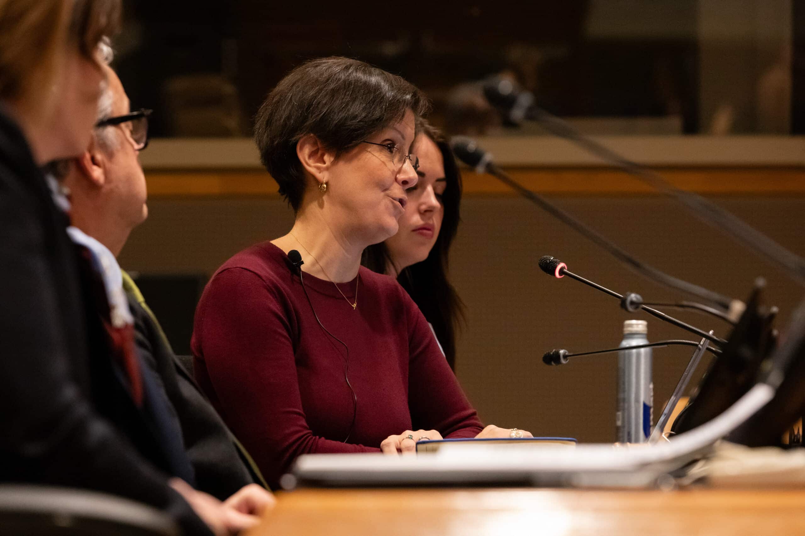 Reem Alsalem, UN Special Rapporteur on Violence against Women and Girls